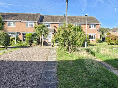 Picture 24